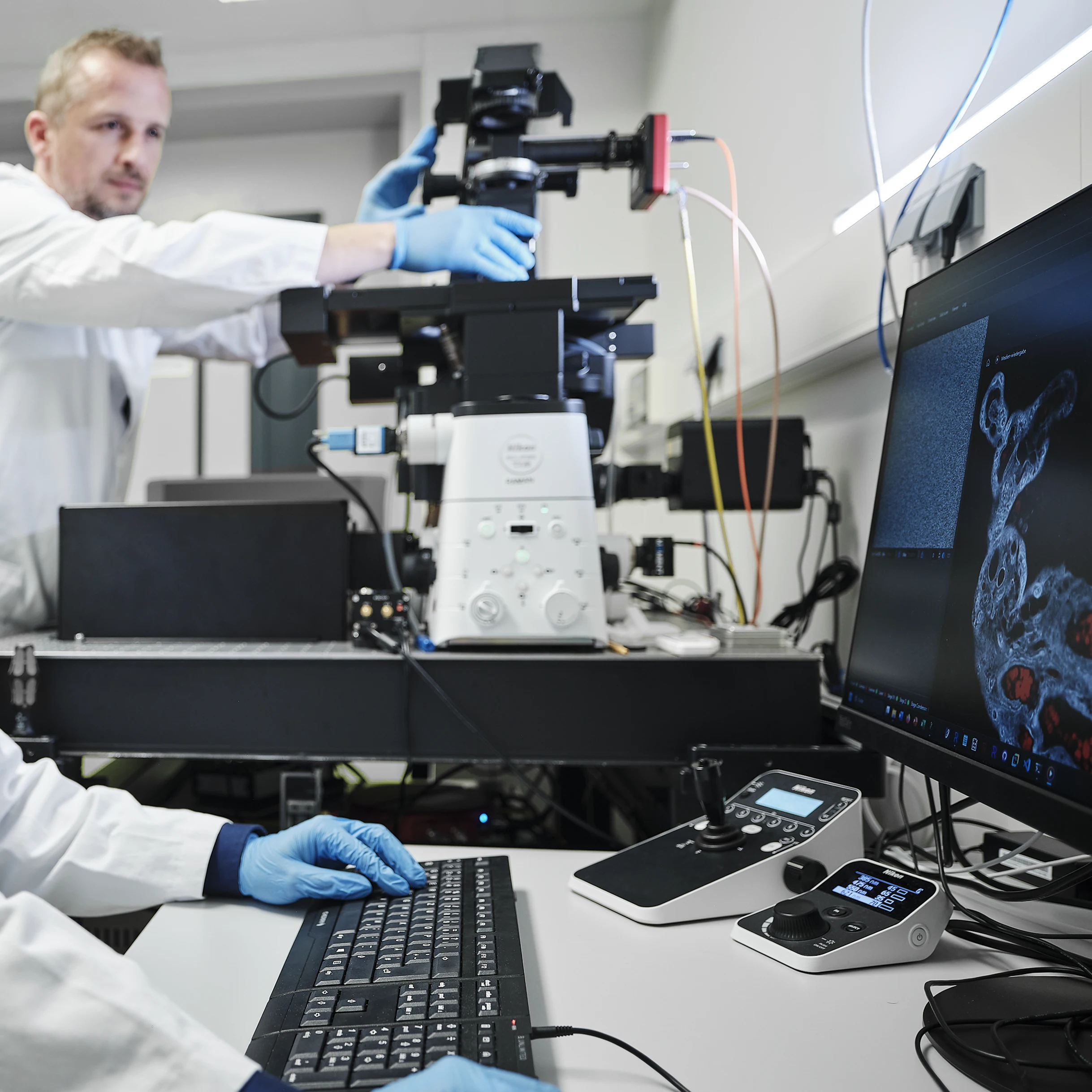 User-friendly design