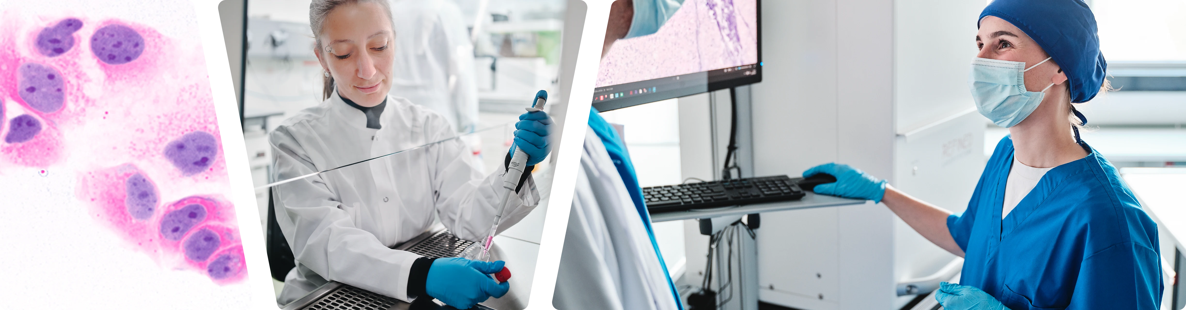 Refined Diagnostics diagnostic workflow