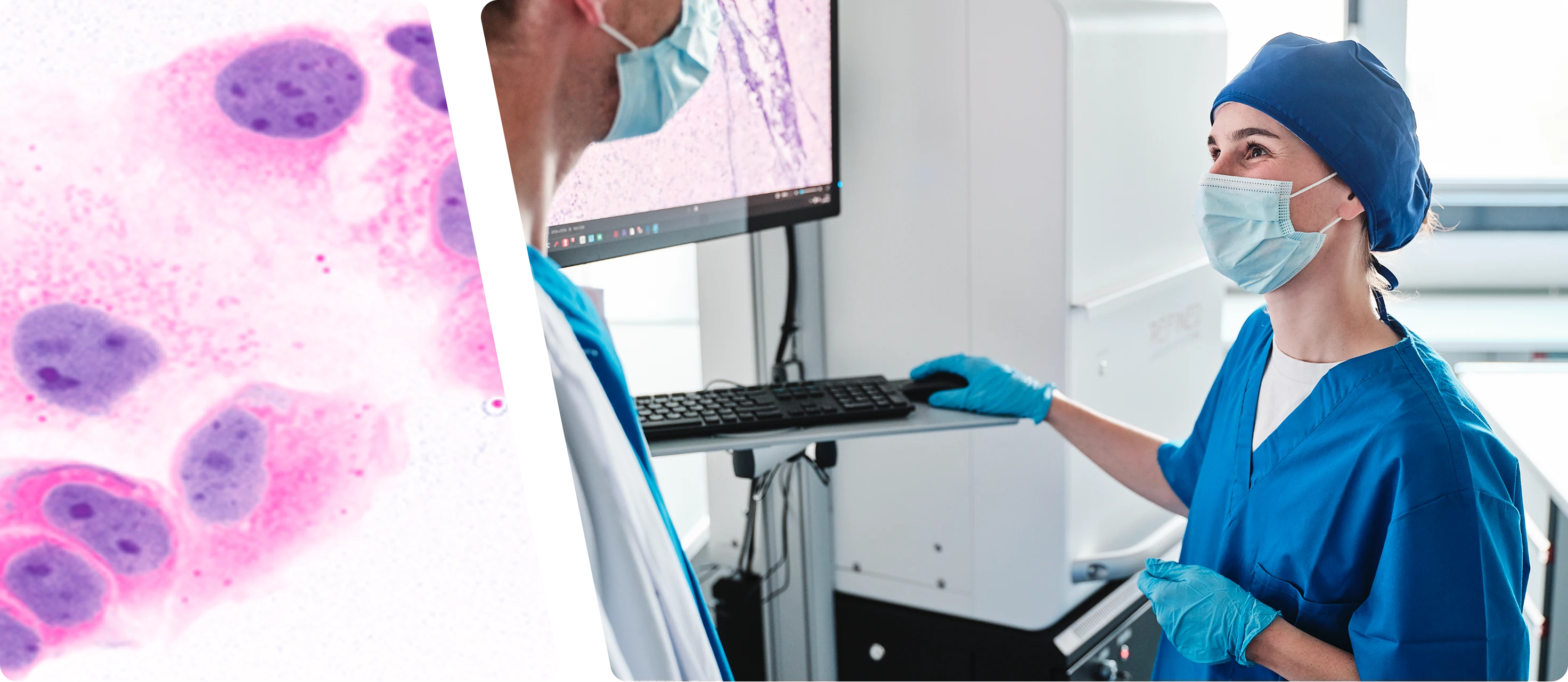 Refined Diagnostics diagnostic workflow