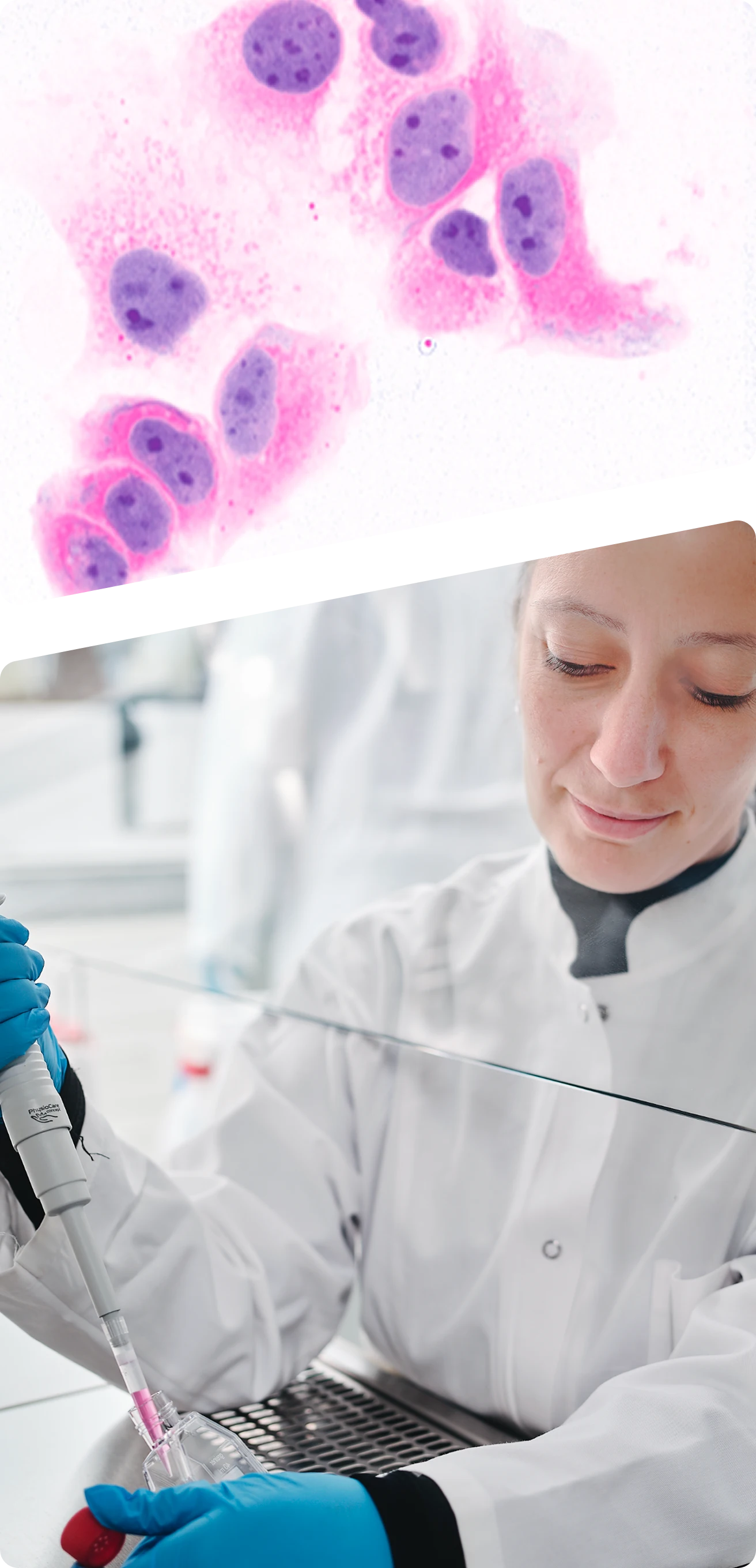 Refined Diagnostics diagnostic workflow