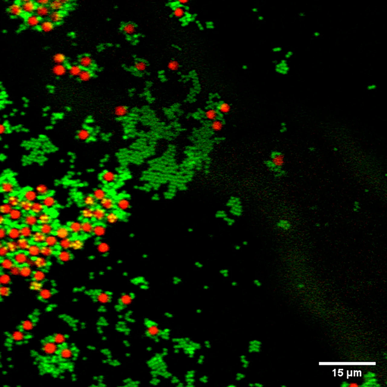 Identify materials by their molecular fingerprints